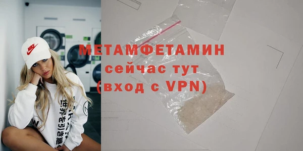 прущие грибы Белокуриха