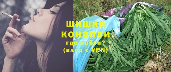 прущие грибы Белокуриха
