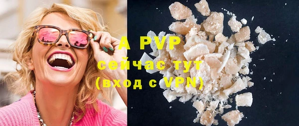 прущие грибы Белокуриха